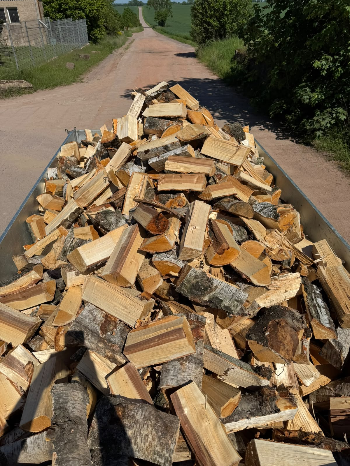 Frisch gespaltenes Birken-Brennholz auf dem Anhänger